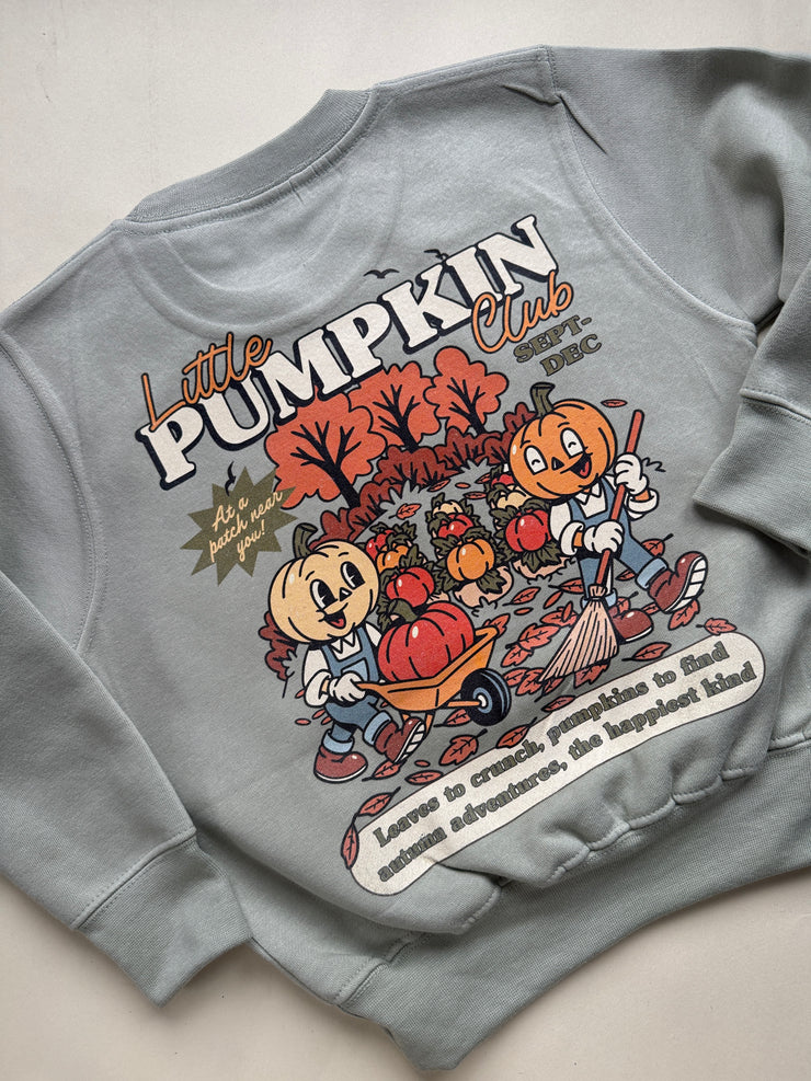 Little pumpkin club adult and kids sweater