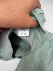 Pumpkin club 2024 sage sweater + shorts set