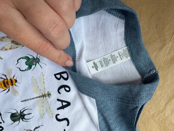 3-4 years mini beast raglan