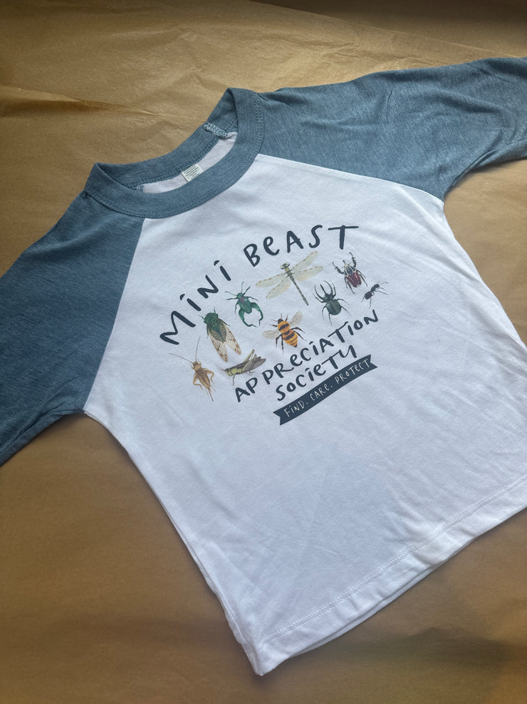 3-4 years mini beast raglan