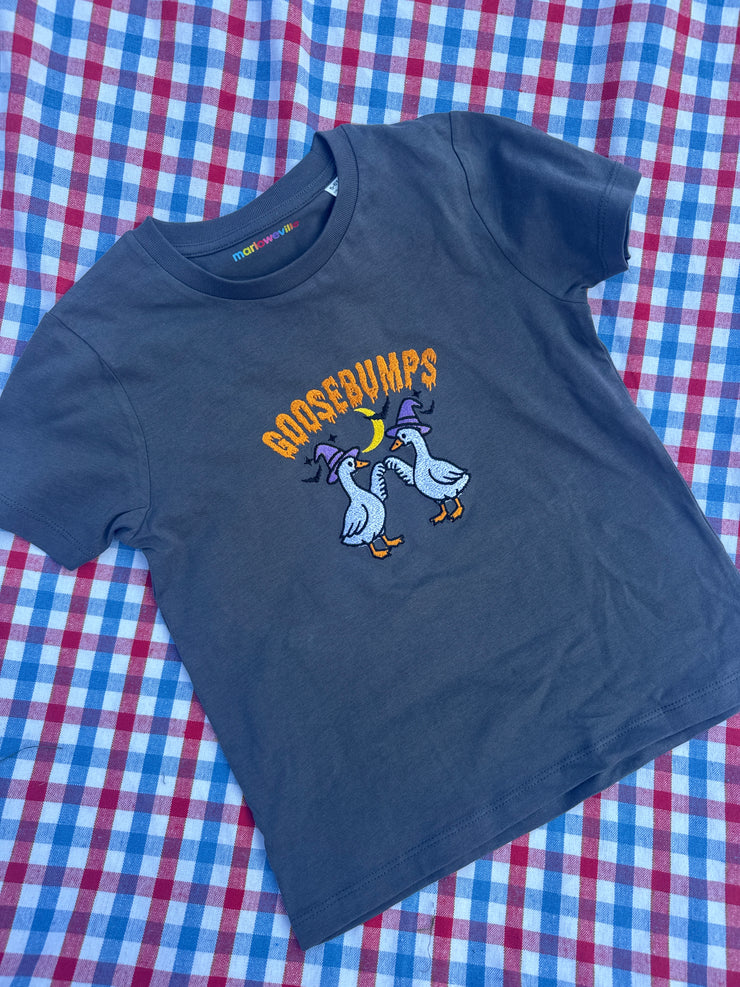 Goosebumps 3-4 years tee