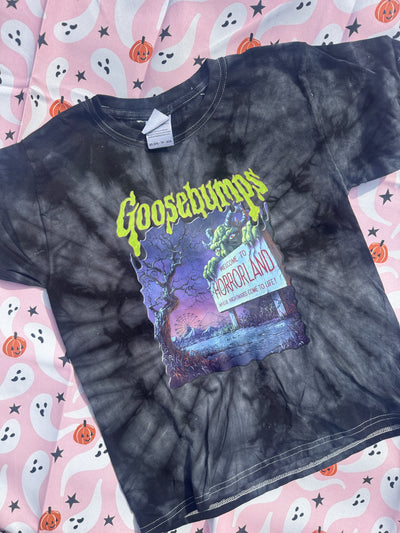 5-6 years (oversized) goosebumps