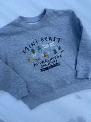 3-4 years mini beast grey sweater