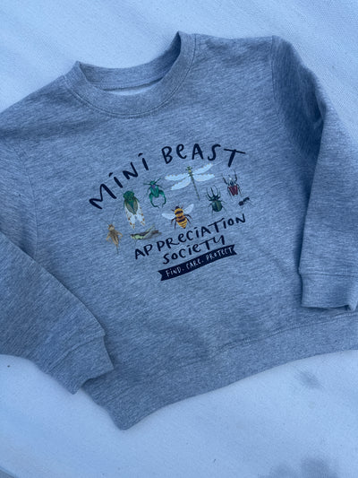 3-4 years mini beast grey sweater