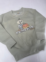 6/12 months pumpkins sweater sage (misfit mark on collar and washed once)