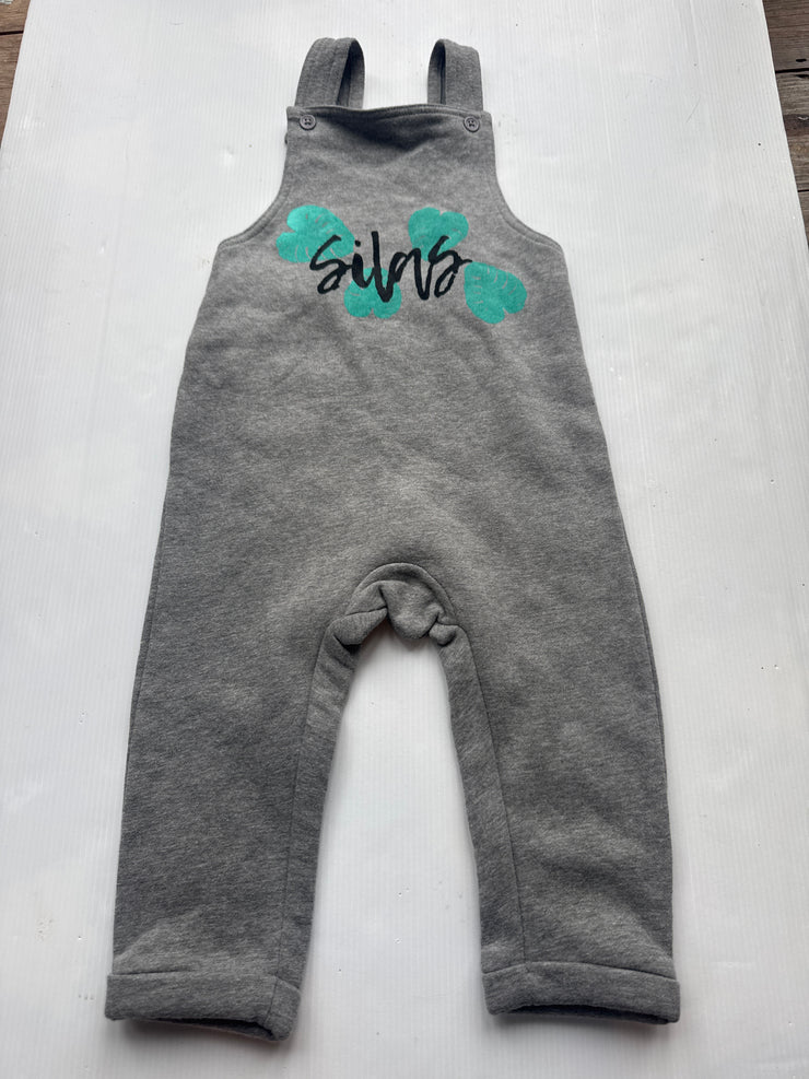 S names - misfit