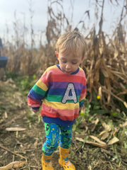 Pastel and bright birthday number/ letter applique rainbow kids jumper