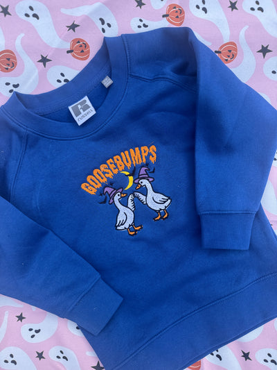 3-4 years Goosebumps blue embroidered sweater