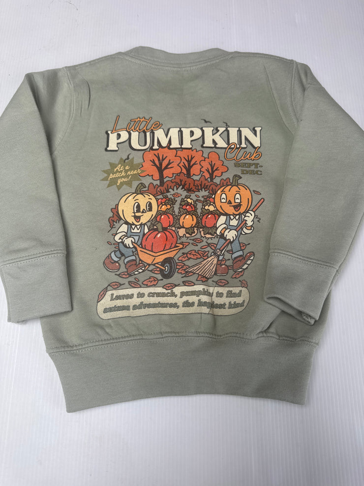 6/12 months pumpkins sweater sage (misfit mark on collar and washed once)