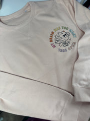 Light dusky pink adults XL (16/18) brain has too many tabs sweater