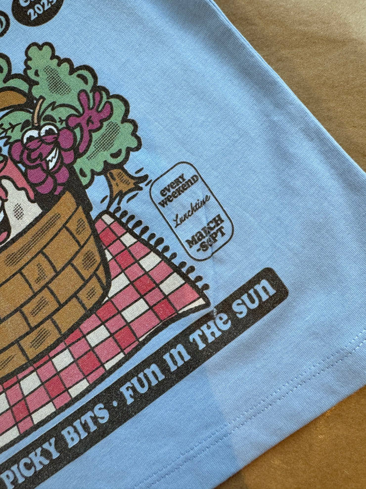2-3 years blue picnic club (misfit)