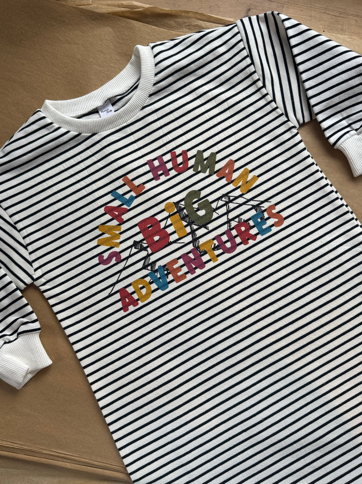 2-3 years slouch stripe small human bug adventures dress