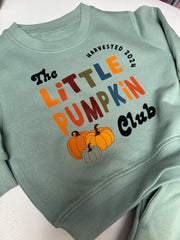 Pumpkin club 2024 sage sweater + shorts set