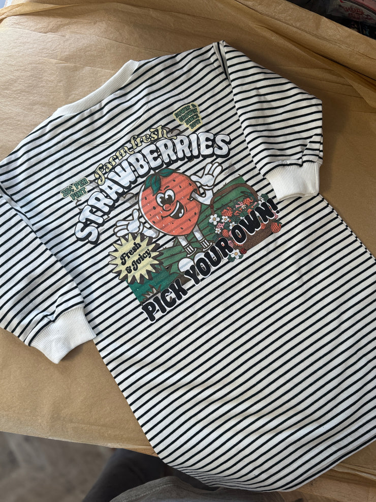2-3 years stripe slouch strawberry dress
