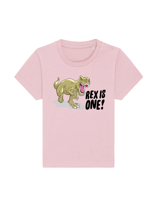 pink dinosaur 1st birthday clothing