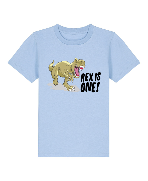 baby blue dinosaur first birthday t-shirt
