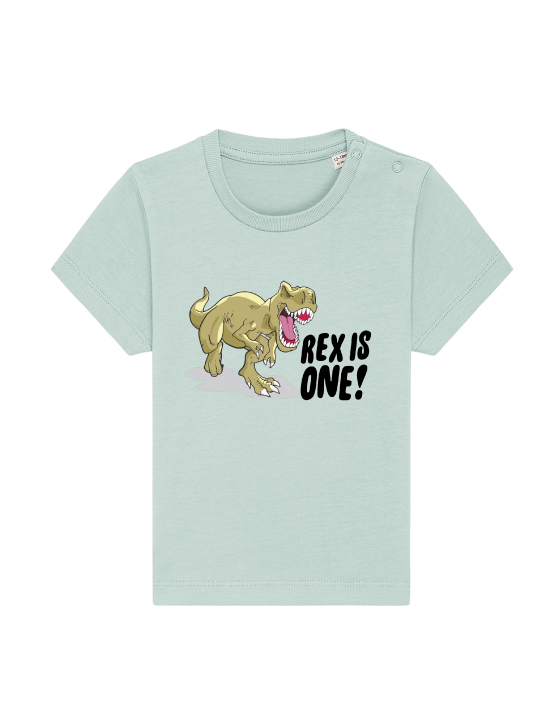 mint dinosaur first birthday t-shirt