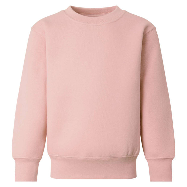 Santa appreciation society Sweatshirt (kids and adults)