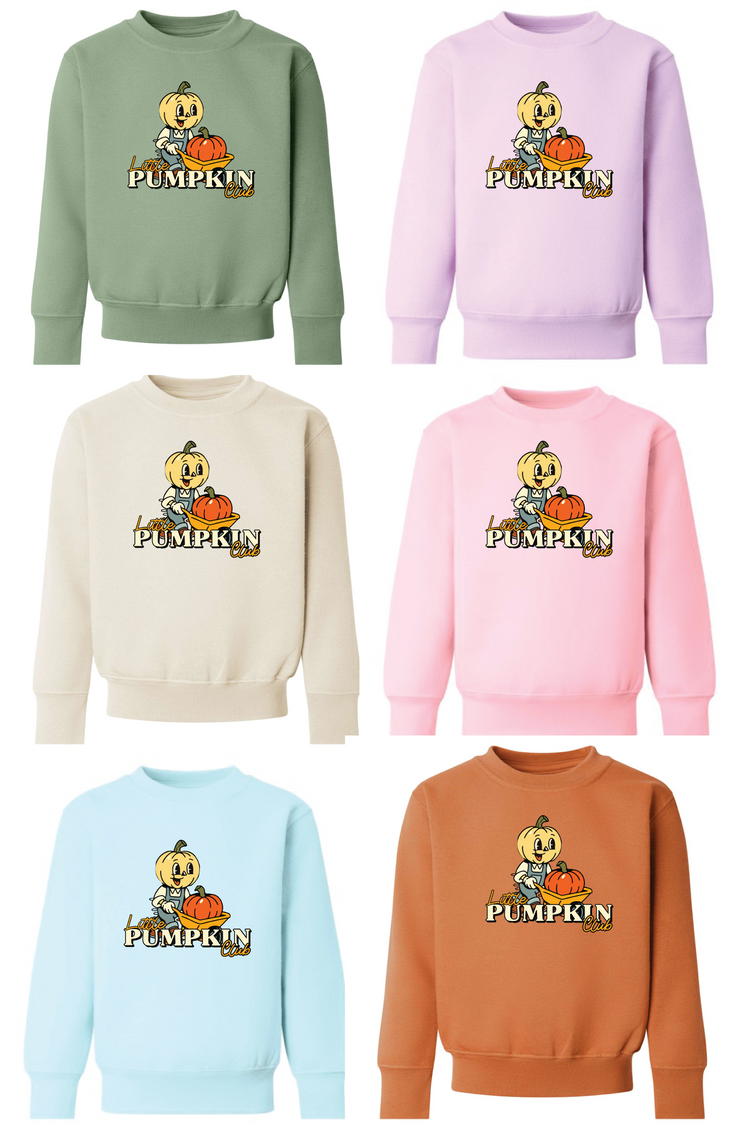 Little pumpkin club adult and kids sweater