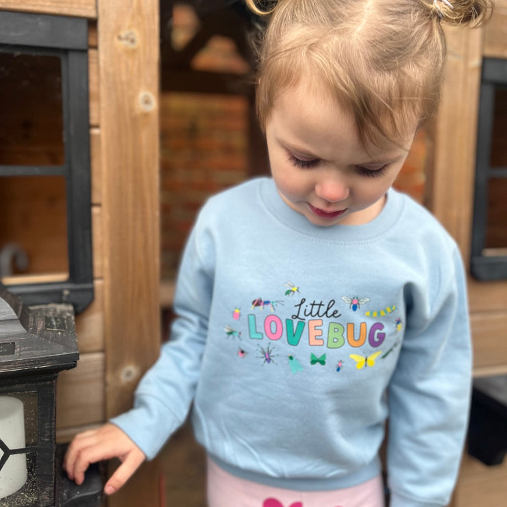 Little lovebug kids sweater