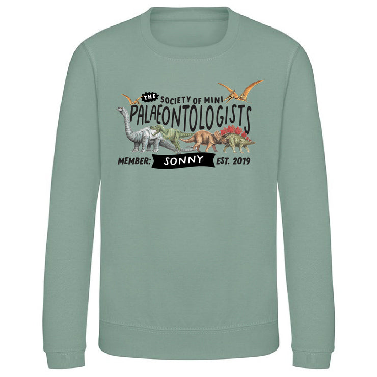 Mini Dreams palaeontologist kids sweater