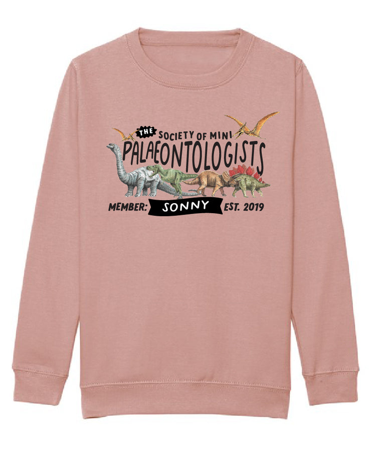 Mini Dreams palaeontologist kids sweater
