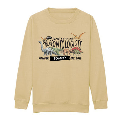 Mini Dreams palaeontologist kids sweater